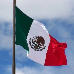 Meet your Posher, Freddy